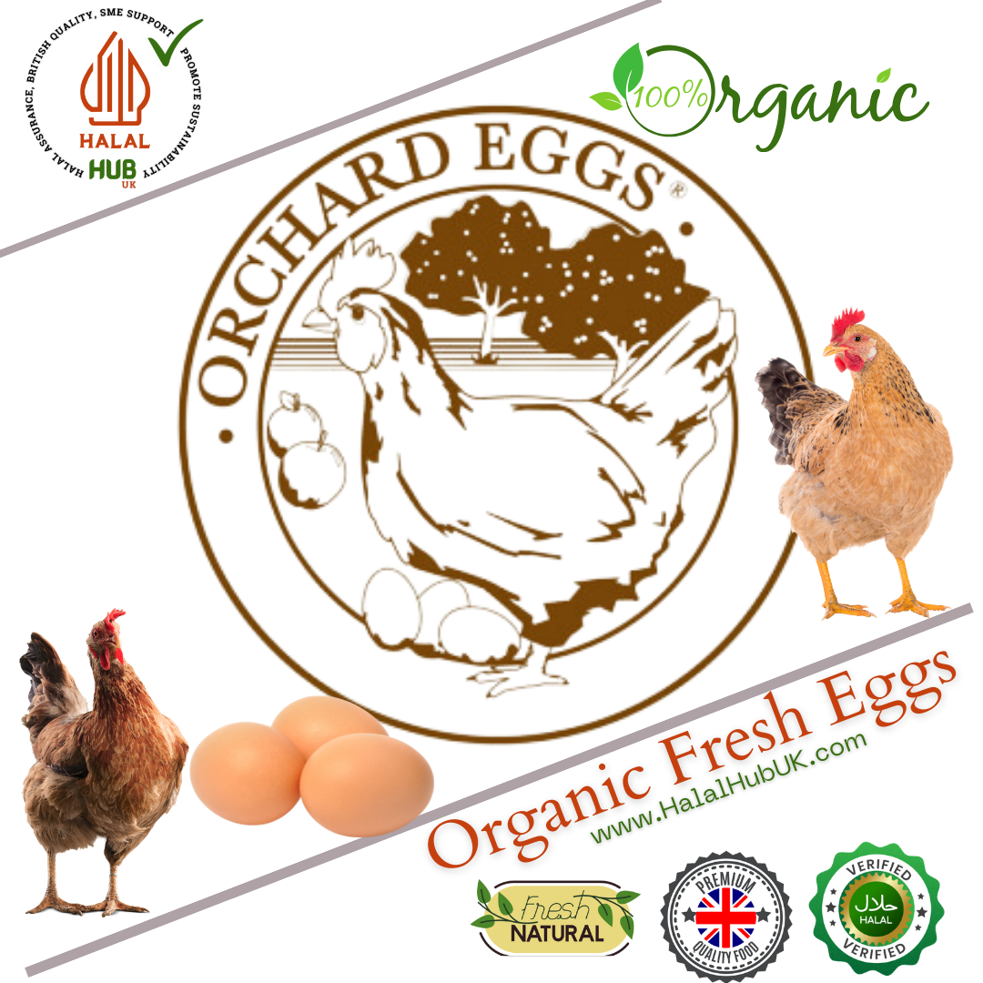 Organic Orchard Farm Eggs